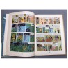 Tintin T6 - L'oreille cassée (B8,feuillage bleu) - C - (1953)