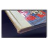 Spirou & Fantasio EO T.14 Le prisonier du Bouddha