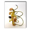 Marsupilami / Fariboles