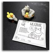 Le Chat bouée -canard / Geluck / Pixi