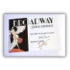 Broadway T.02 / Une rue en amérique / Gihef