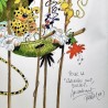 Batem / Original couleur en album / Marsupilami - Le Marsupilami de Franquin / 2023