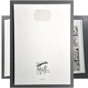 Batem / Original couleur en album / Marsupilami - Le Marsupilami de Franquin / 2023