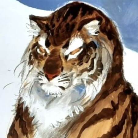 Frank Pé / Tigre /  100 X 75 cm / Original