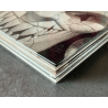  Murena T.02 to T.04 / 3x C / 3 Albums / EO / Delaby / 1999/2002