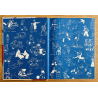  Tintin T.04 / Hergé / Les Cigares du Pharaon (B14) / C - 1 Album - Première édition française - 1955