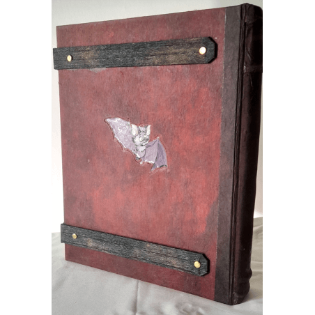 Sorcelleries / Guarnido /  Coffret Sorcelleries / Dédicace / 1 Coffret / Édition limitée