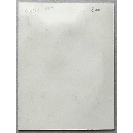  Sokal, Benoît / 1 Original dessin préliminaire / Canardo T.01 / Premières enquêtes / 1982