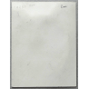  Sokal, Benoît / 1 Original dessin préliminaire / Canardo T.01 / Premières enquêtes / 1982