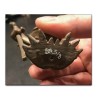 Korrigan's Version Bronze