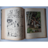Tintin T.06 / Hergé / L'oreille cassée (A18, grande image) - C - N&B - Réédition (1942)
