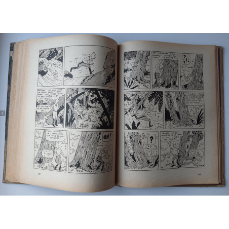 Tintin T.06 / Hergé / L'oreille cassée (A18, grande image) - C - N&B - Réédition (1942)