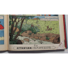 Chlorophylle T.02 / Chlorophylle et les conspirateurs / Macherot / C - EO - (1956)