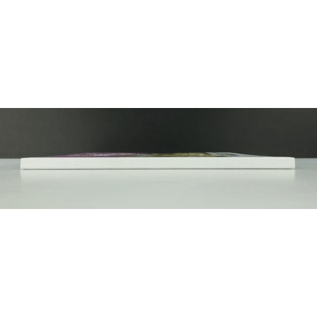 Portfolio Ailes et Belles 4 (199 ex. N°/S) / Meynet F. / 2012