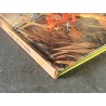 Trolls de Troy T.03 / Comme un Vol de Pétaures / Dédicace couleur Mourier / C / EO / 1999