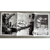 The Kong Crew / Artist edition 1 + suppléments + dédicace / Édition limitée / 2021
