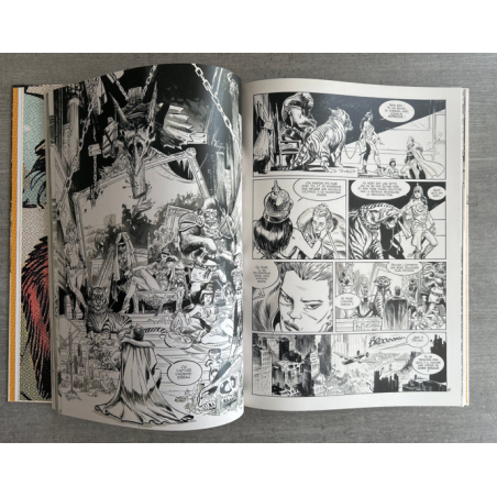 The Kong Crew / Artist edition 1 + suppléments + dédicace / Édition limitée / 2021