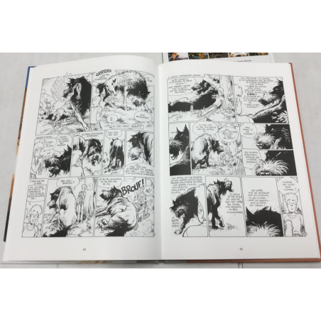 Broussaille T.05 / Un Faune sur l'épaule / Dédicace couleur Frank Pé / 2x C + coffret / 2 Album / Édition limitée / 2003