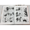 Broussaille T.05 / Un Faune sur l'épaule / Dédicace couleur Frank Pé / 2x C + coffret / 2 Album / Édition limitée / 2003