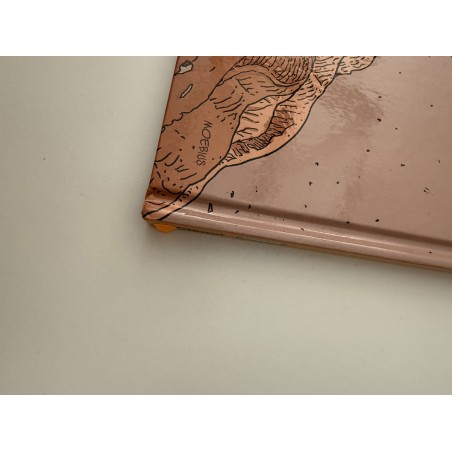 Arzak / L'arpenteur / Dédicace Moebius / 2010