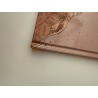 Arzak / L'arpenteur / Dédicace Moebius / 2010
