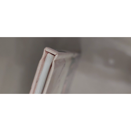 Le Cahier Bleu T.02 / Après la pluie / Dédicace Juillard / EO / 1998