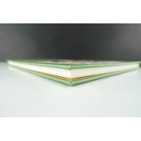 Contes saumâtres. TL (3 ex. N°/S) + Dessin Michetz