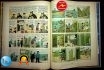 Tintin L'île noire A20 EO Couleur 1943