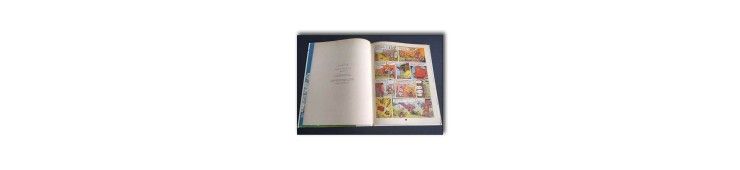 Asterix T1 - Astérix le gaulois - C - 2ème édition - (1963)