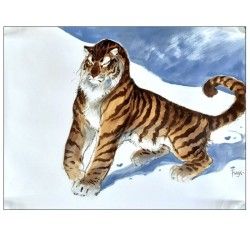 Frank Pé / Tigre /  100 X 75 cm / Original