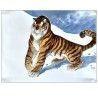 Frank Pé / Tigre /  100 X 75 cm / Original