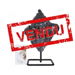 Tête Hébus Boulesteix Souriant