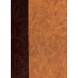 Frank Pé. Zoo 2. Edition de luxe  Frank Pé. Zoo 2. Rare édition de luxe reprenant les planches couleur du tirage de tête, sur f