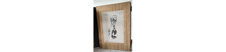 Sorcelleries / Guarnido /  Coffret Sorcelleries / Dédicace / 1 Coffret / Édition limitée