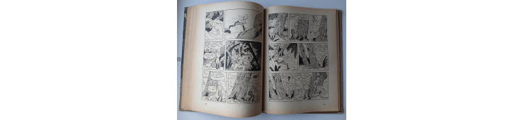 Kuifje Dl. 6 / Hergé / Het gebroken oor (A18, grote afbeelding) - C - Zwart-wit - Heruitgave (1942)