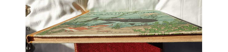 Tintin T.12 / Hergé / Le trésor de Rackham le Rouge (A24) - C - EO - (1945)