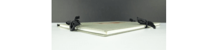 Portfolio De 12 maanden van het jaar (150 ex.) / Meynet F. / 1999