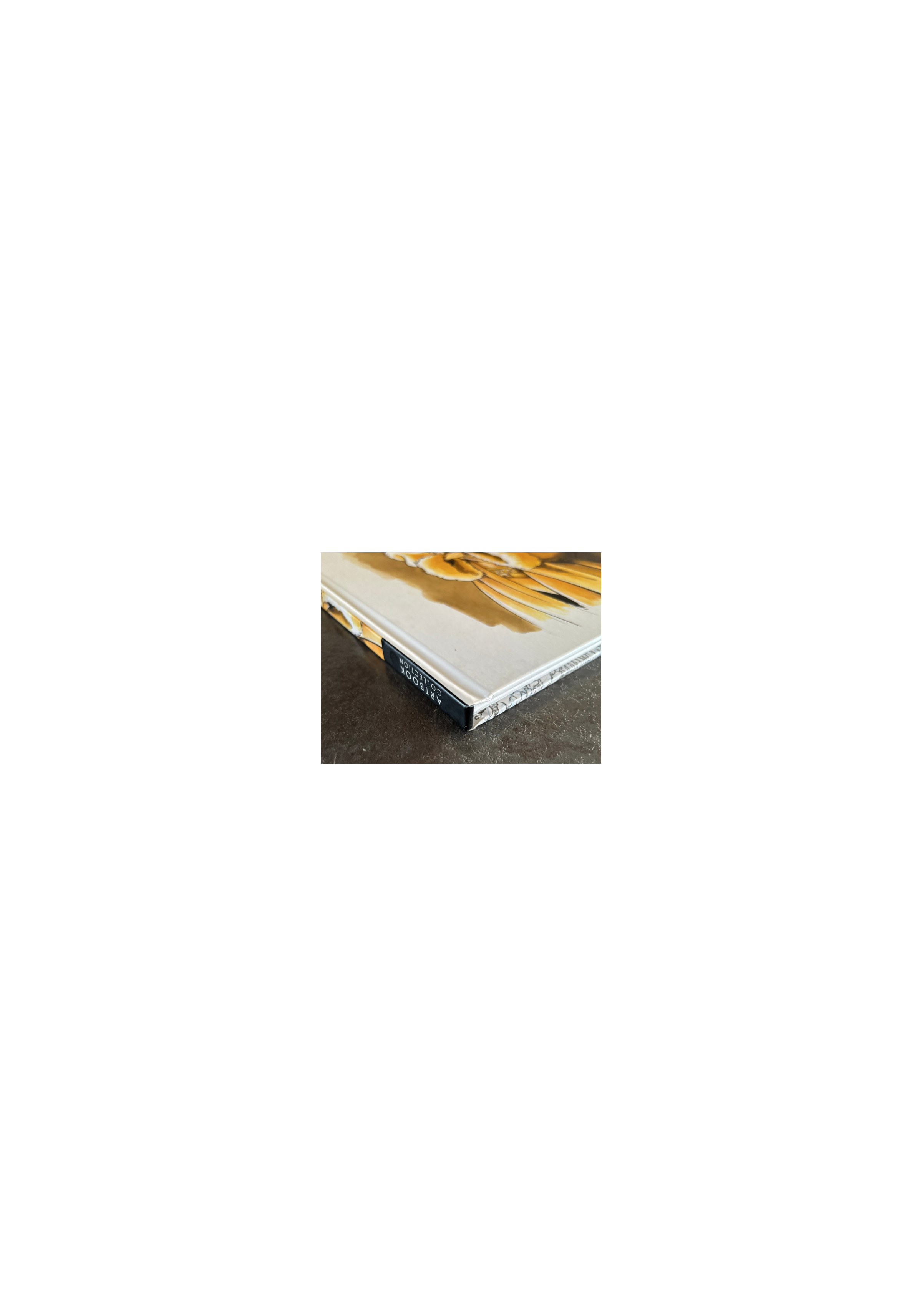 Etienne Willem / Artbook Collection + dédicace couleur / EO / 2017