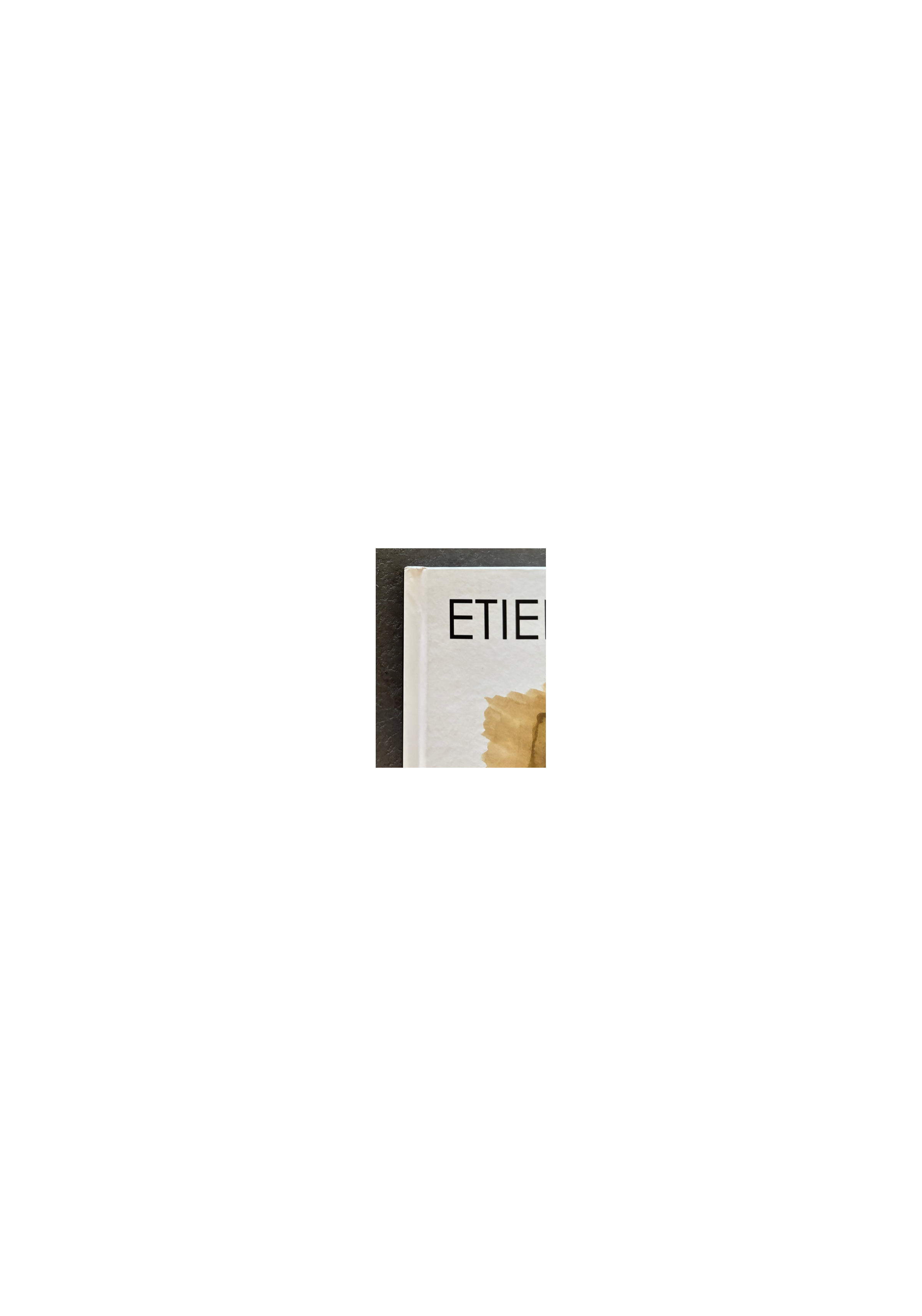 Etienne Willem / Artbook Collection + dédicace couleur / EO / 2017