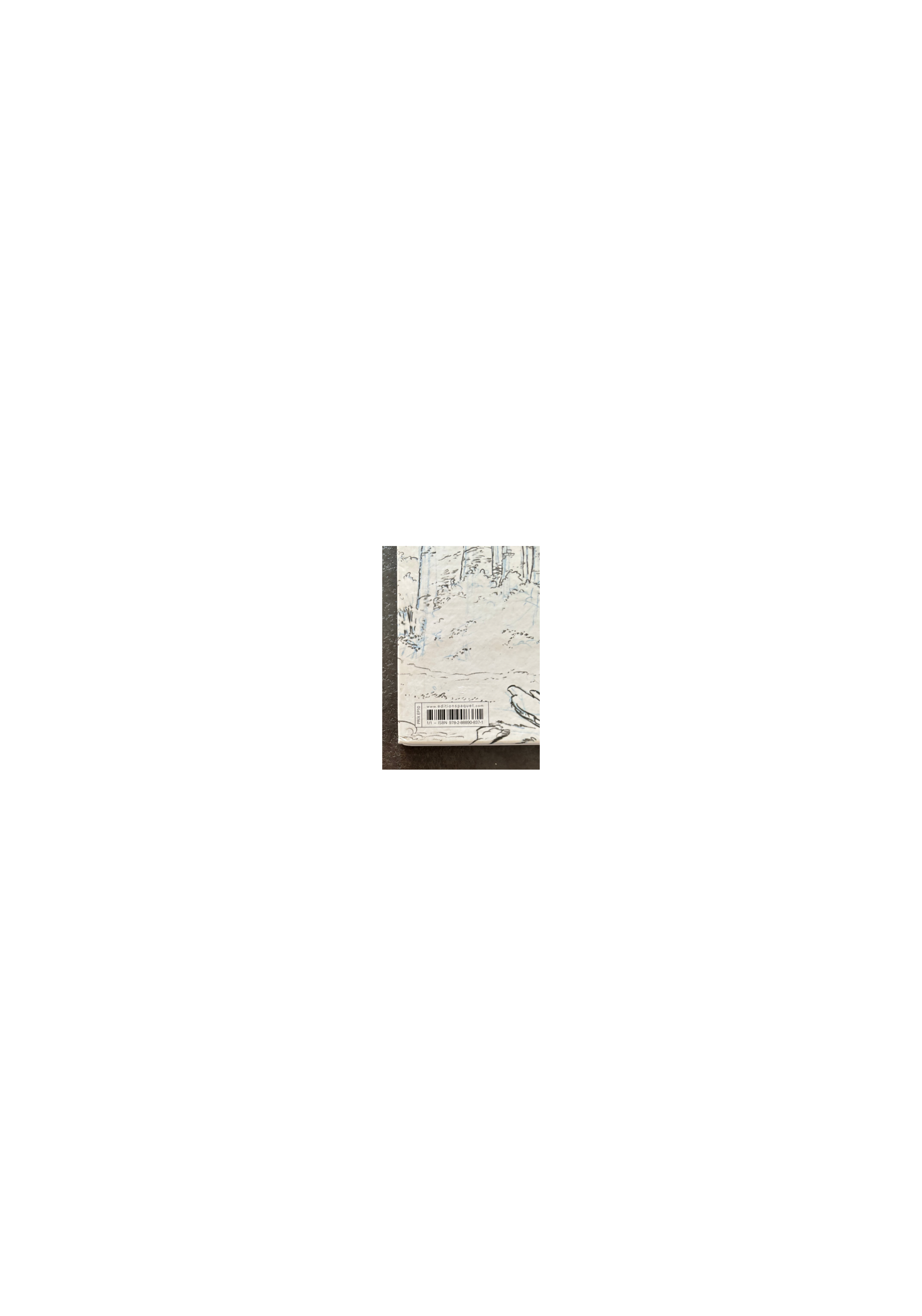 Etienne Willem / Artbook Collection + dédicace couleur / EO / 2017