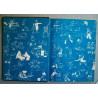 Tintin T15 / Au Pays de l'Or Noir / Hergé / B4 / C / EO / 1950